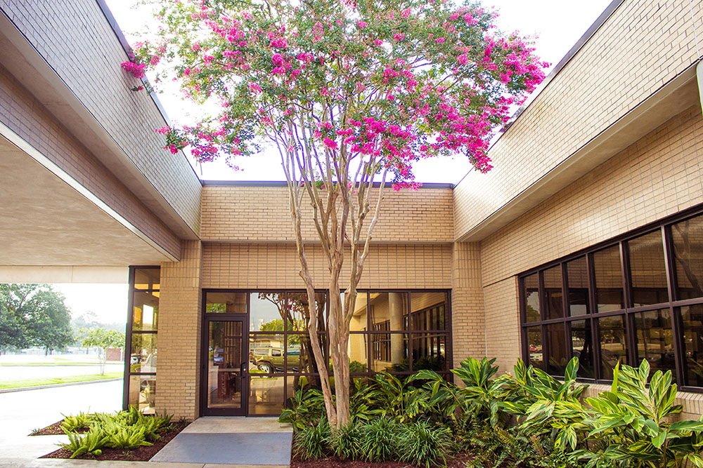 Landry's Landscape Portfolio